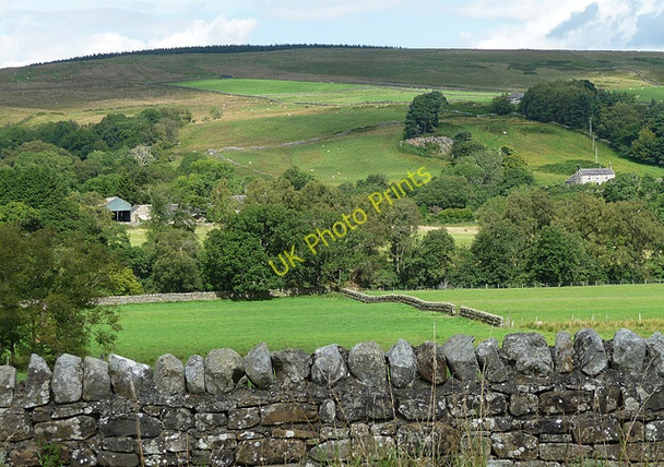 Photo 6"x4" Farmland near Lanehead (1) Eal c2010