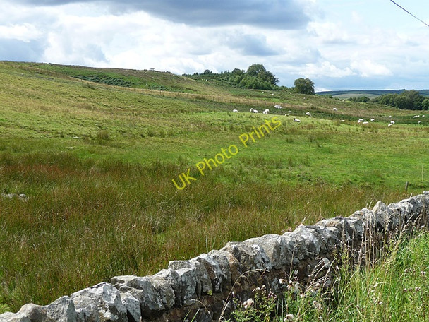 Photo 6"x4" Birks Moor near Lanehead (1) Eal c2010