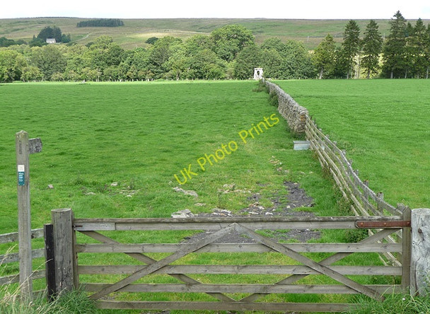 Photo 6"x4" Footpath near Lanehead Greystead c2010