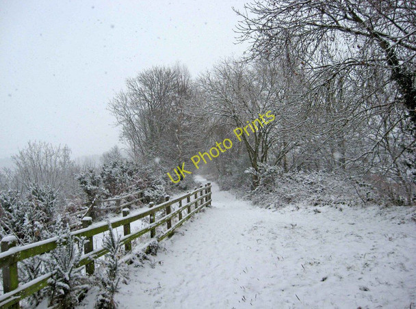 Photo 6"x4" Leapgate Country Park in snow Stourport-on-Severn c2010