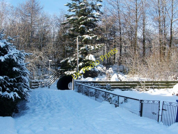Photo 6"x4" Path to Vale of Leven Cemetery Alexandria c2010