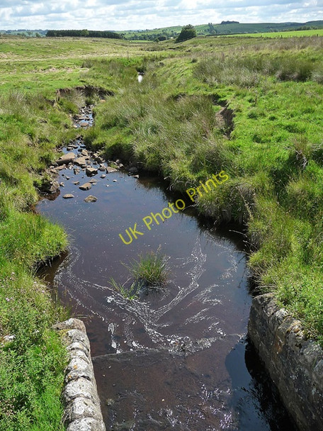 Photo 6"x4" Soot Burn near Bellingham Bellingham\/NY8383 c2010