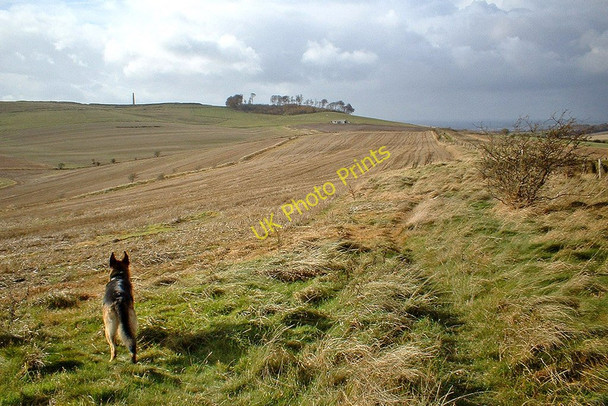 Photo 6"x4" Looking towards Cherhill Down Cherhill c2002
