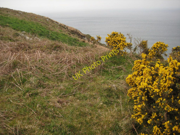 Photo 6"x4" Above Greeb Point Morvah c2010
