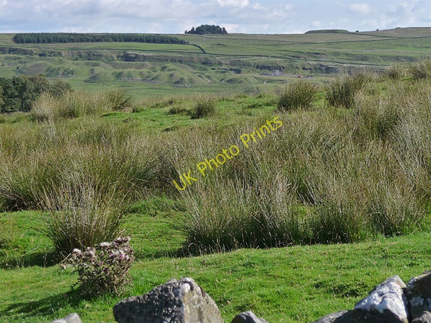 Photo 6"x4" Buteland Fell near Redesmouth Steel\/NY8982 c2010