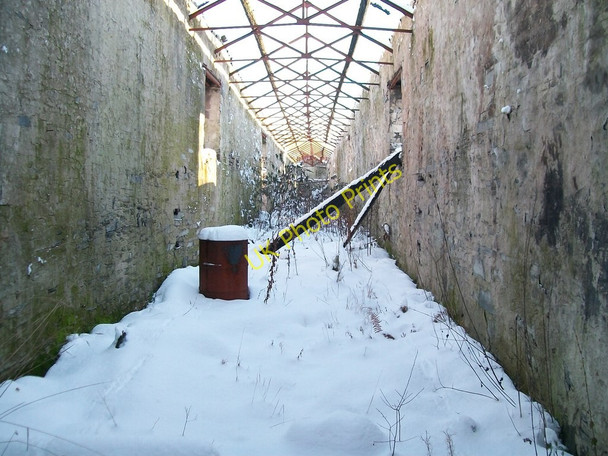 Photo 6"x4" The interior of the derelict carriage shed at Stabla Pont-Rhythallt c2010
