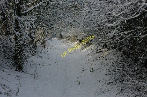 Photo 6"x4" Snow-covered Donkey Lane Earl's Croome c2010