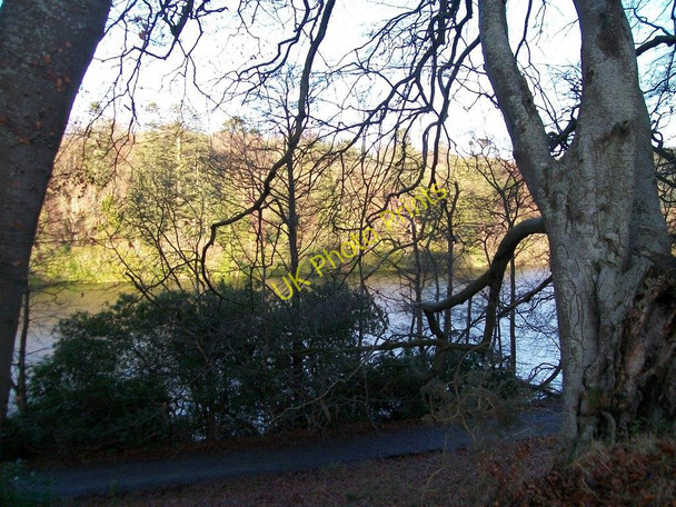 Photo 6"x4" Castle Lake and the Lake Walk from Castle Walk Castlewellan c2010