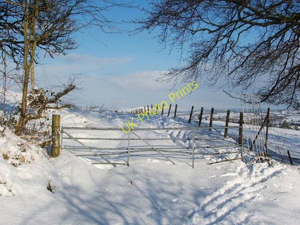 Photo 6"x4" Field gate Alexandria c2010