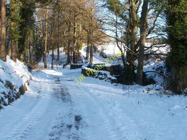 Photo 6"x4" Track to Garshake Farm Dumbarton c2010