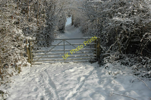 Photo 6"x4" Gate on the Severn Way Earl's Croome c2010