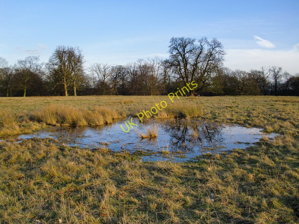 Photo 6"x4" Hilltop pool, near White Lodge, Richmond Park Richmond\/TQ1874 c2010