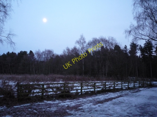 Photo 6"x4" Moon over Allerthorpe Woods Thornton\/SE7545 c2010
