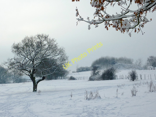 Photo 6"x4" Snow covered pasture on Colton Hills, Staffordshire Sedgley c2010