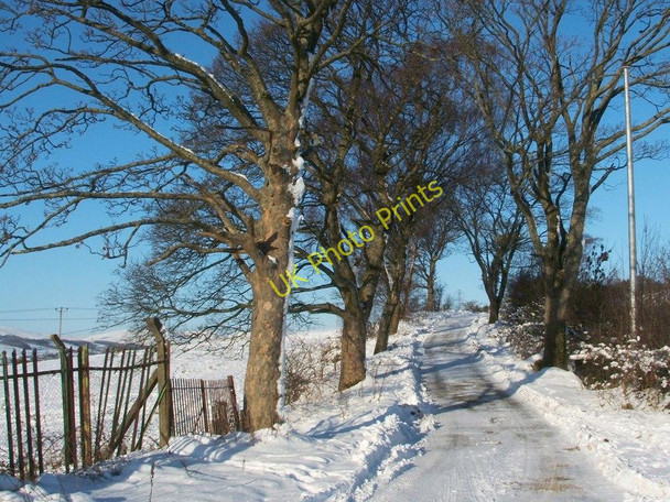 Photo 6"x4" Track to Maryland Farm Dumbarton c2010