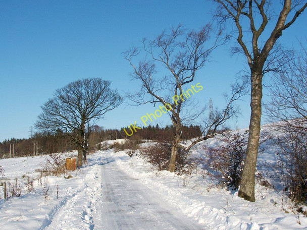Photo 6"x4" Track to Maryland Farm Dumbarton c2010 P1