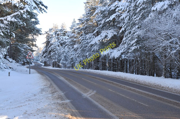 Photo 6"x4" Road from Coylumbridge to Cairngorm at the junction for the sled dog centre Coylumbridge c2010