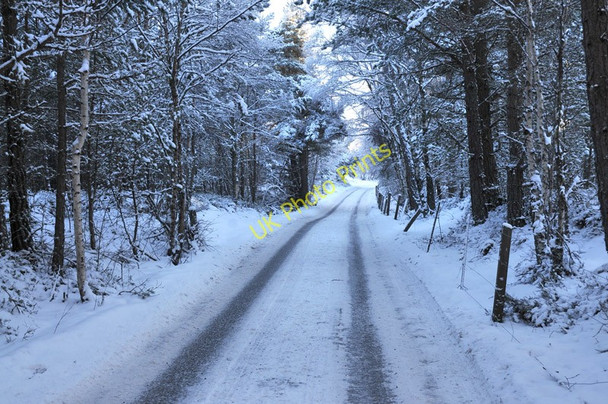 Photo 6"x4" Snowy road to Blackpark Coylumbridge c2010