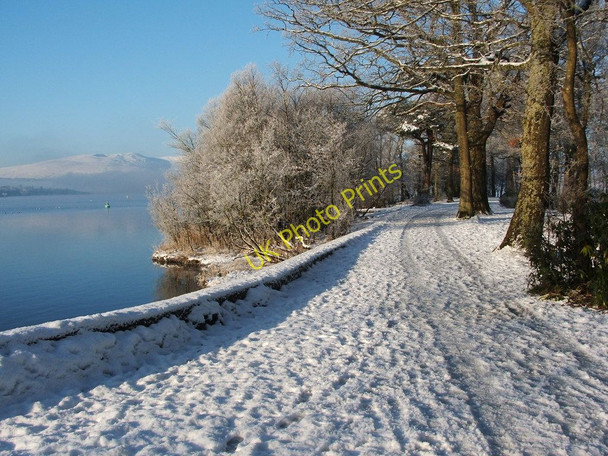 Photo 6"x4" Path in Balloch Castle Country Park Alexandria c2010