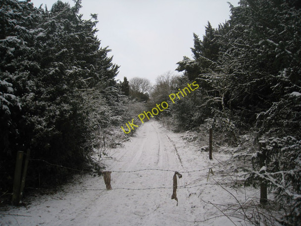 Photo 6"x4" Barred way Moorhouse\/SK7566 c2010