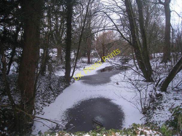 Photo 6"x4" View towards Ossington Lake Moorhouse\/SK7566 c2010