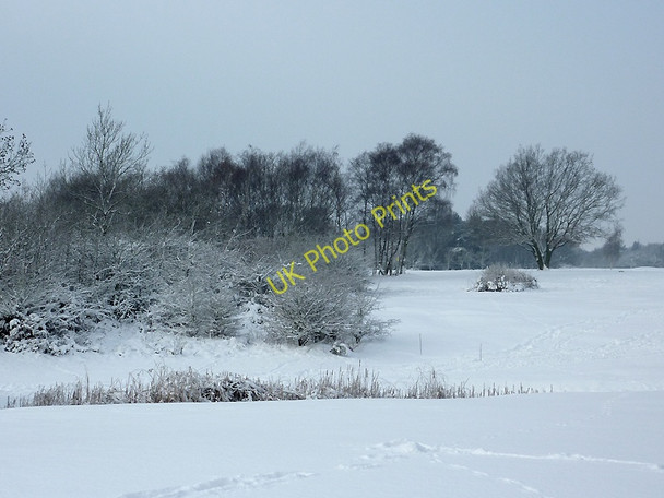 Photo 6"x4" Snow across the golf course on Penn Common, Staffordshire Sedgley c2010