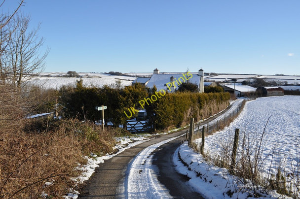 Photo 6"x4" Upcott Farm Bittadon c2010