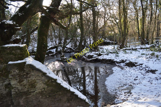 Photo 6"x4" The view downstream from Collacott Bridge on Colam Stream Bittadon c2010