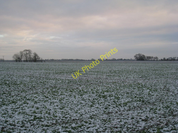 Photo 6"x4" A few trees in a bleak landscape Hatfield Chase c2010