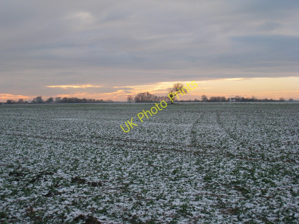 Photo 6"x4" View towards Sandhill Farm Hatfield Chase c2010