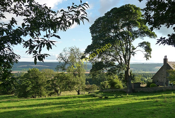 Photo 6"x4" Farmland near Sandhoe (2) Sandhoe c2010