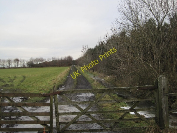 Photo 6"x4" Track leading to Sir Edward's Lake Capheaton c2010