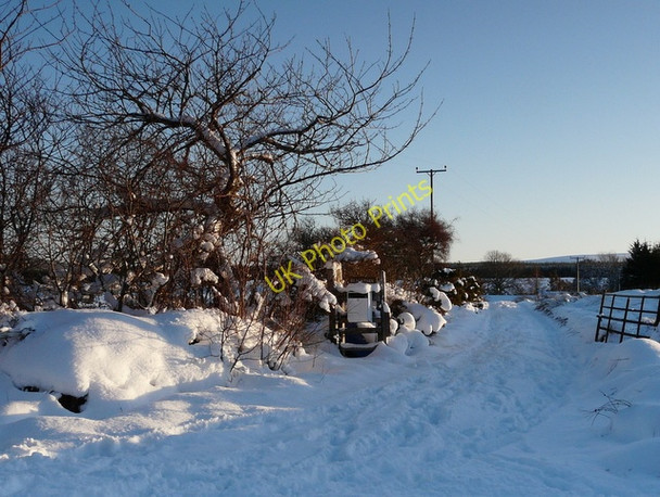 Photo 6"x4" Gateway to Blackpark Balleigh c2010