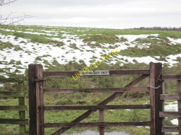 Photo 6"x4" Hunting Gate near Long Plantation Wallridge c2010