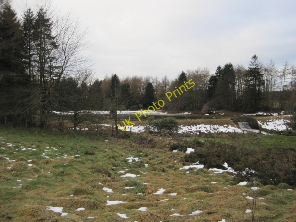 Photo 6"x4" Bradford Pond Harnham\/NZ0780 c2010