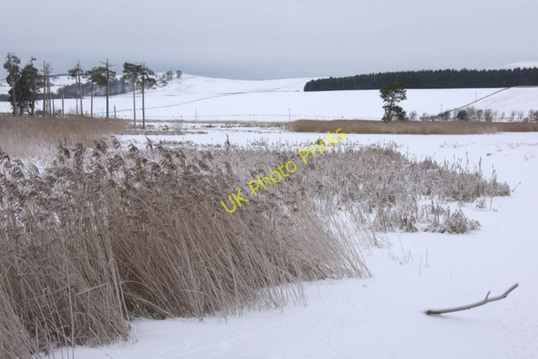 Photo 6"x4" Loch of Kinnordy in the snow Kirriemuir c2010