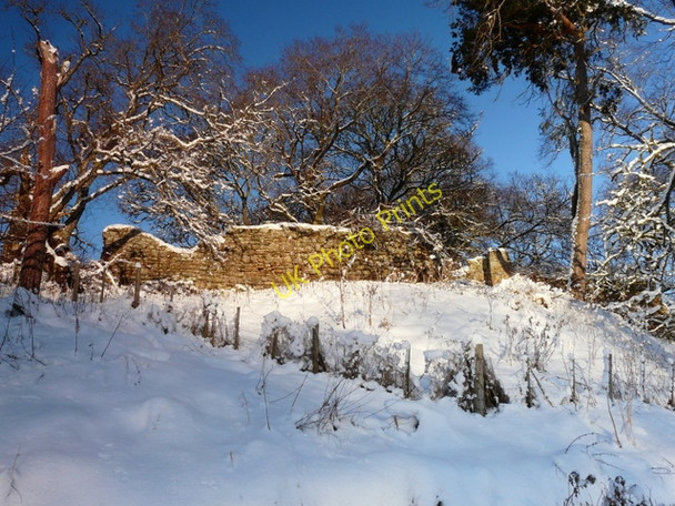 Photo 6"x4" Ruins of Skelbo Castle Skelbo c2010