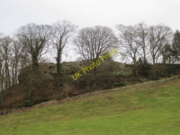 Photo 6"x4" Tomb of Katherine Bavington, Harnham Harnham\/NZ0780 c2010
