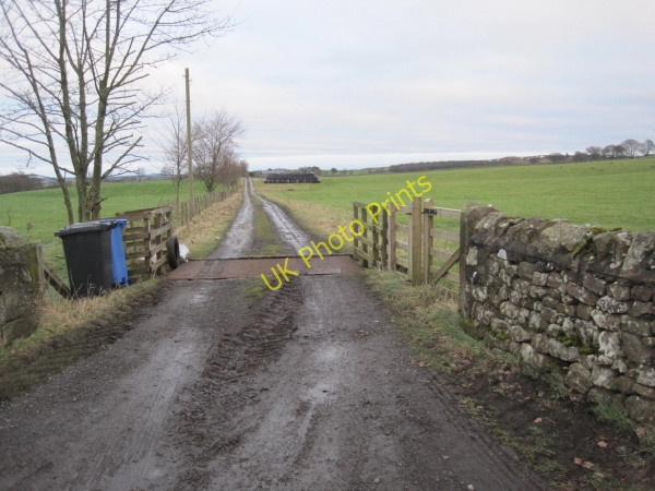Photo 6"x4" Track towards Shaftoe Moor Capheaton c2010