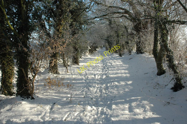 Photo 6"x4" Donkey Lane Earl's Croome c2010
