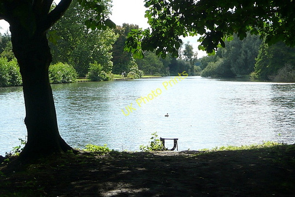 Photo 6"x4" The Vyne, upper lake Cufaude c2010