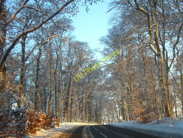 Photo 6"x4" B9165 through Calrossie Wood Loandhu c2010