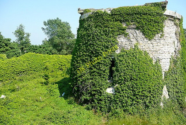 Photo 6"x4" Martello tower at Rye Harbour Rye Harbour c2010