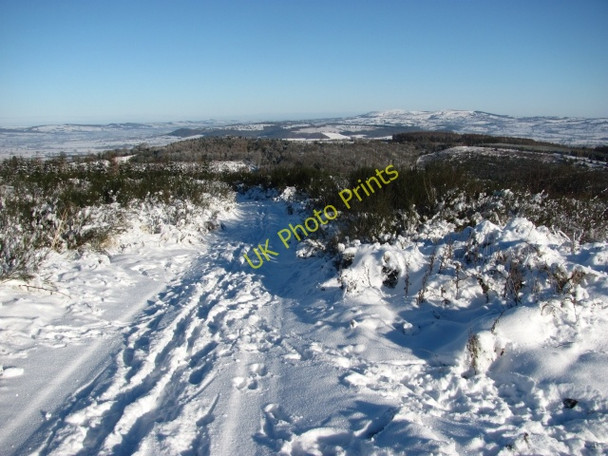 Photo 6"x4" Forest road, High Vinnalls Overton\/SO5072 c2010