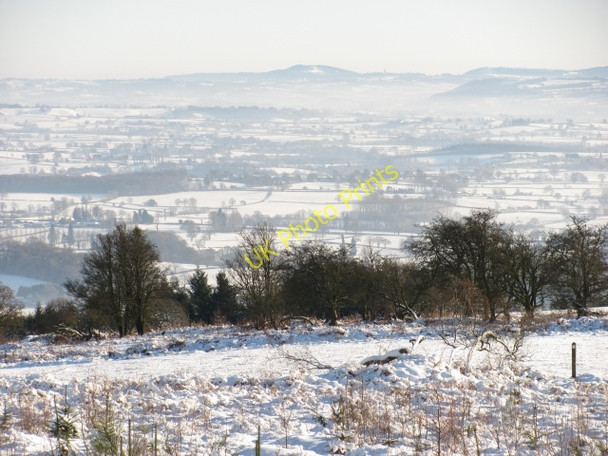 Photo 6"x4" Climbing Jack Common Overton\/SO5072 c2010