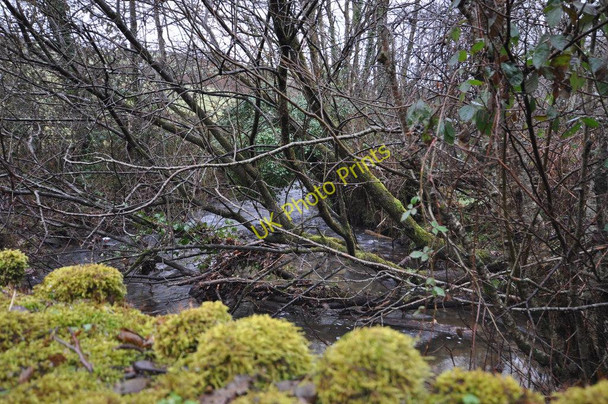 Photo 6"x4" The river Caen downstream from a bridge at the bottom of West Down Hill Boode c2010