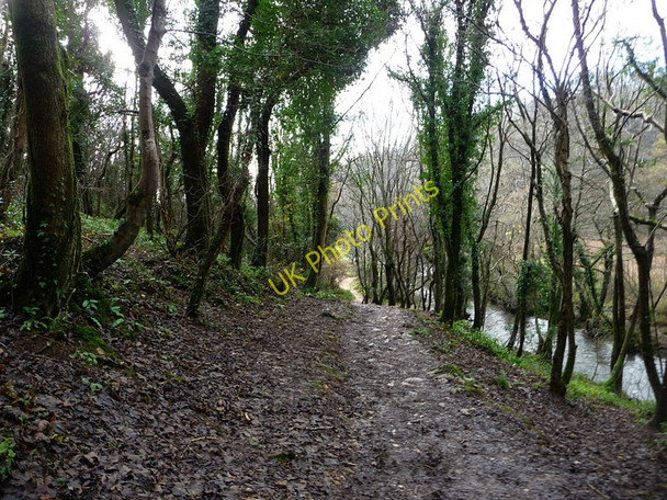 Photo 6"x4" Path to Three Cliffs Bay Lunnon c2010