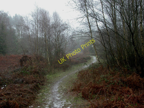 Photo 6"x4" Ashley Heath, permissive footpath St Ives\/SU1204 c2010
