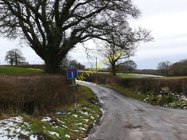 Photo 6"x4" Dead End in Halstock Adam's Green c2010