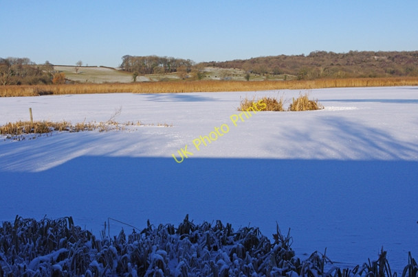Photo 6"x4" Leighton Moss in winter Red Bridge c2010